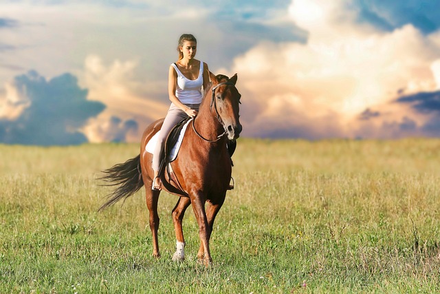היתרון ברכיבה על סוסים